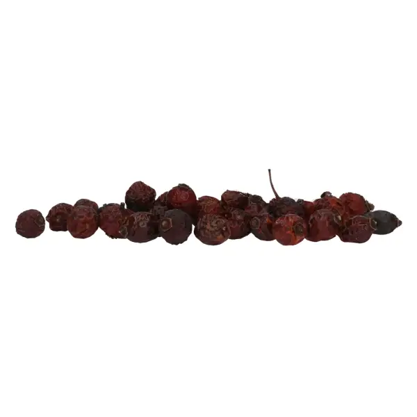Excellent Herbs Hagebutte 1kg – Bild 3