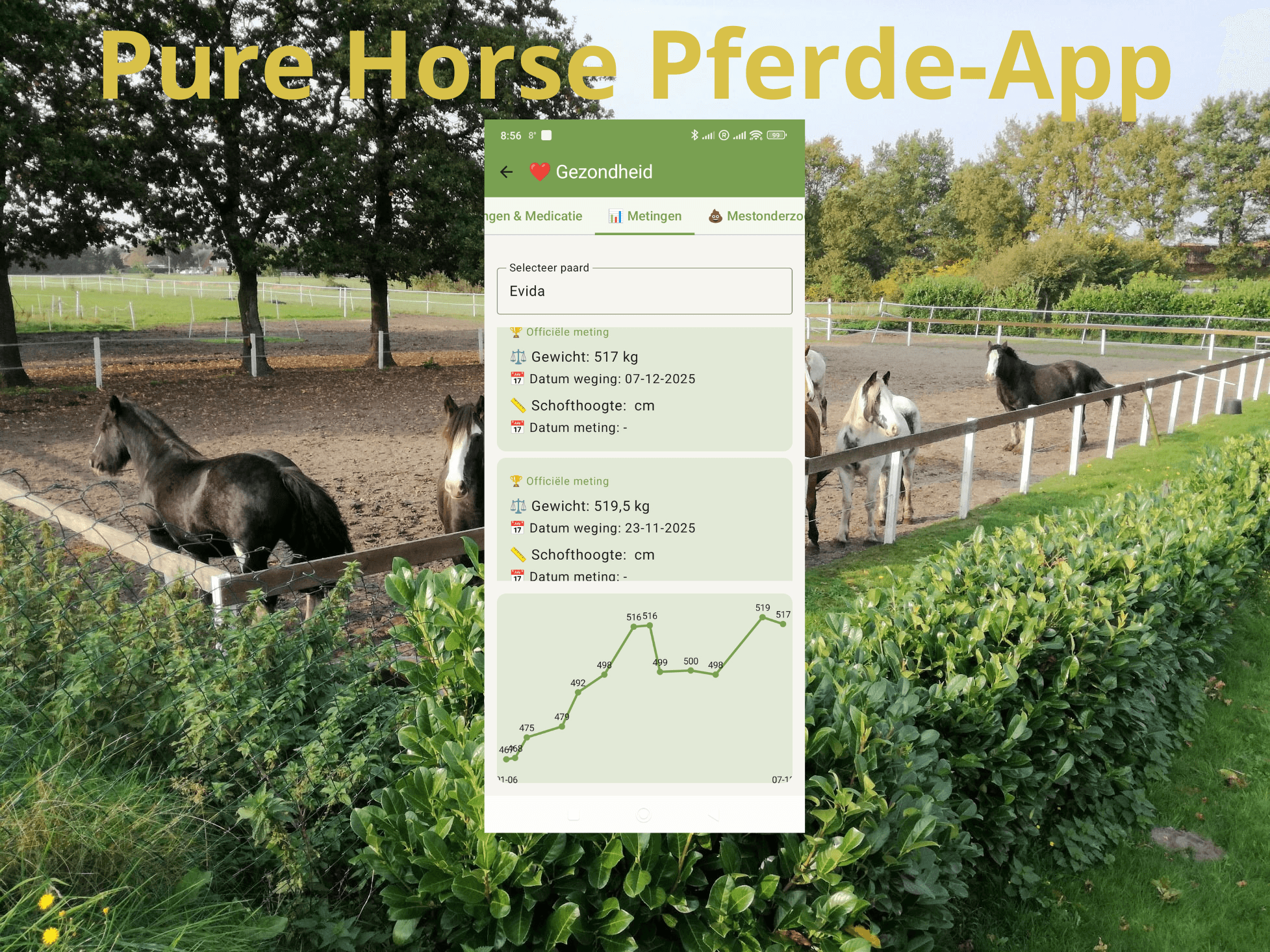 Pure Horse Perde-App-mockup